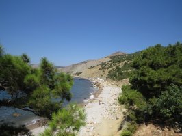 Не верь Сергею, Ялта отстой :)
куча народа в ресторанах кроме пафоса не фига. Набережная да красивая :)Только в Севастополе их не меньше. Специально снимал жилье в Балаклаве 2 раза(неделя-две), потом в Севастополь на уже практически родную радиогорку (Учкуевка).
Для тех кто в теме из Балаклавы постоянно ходят катера и ялики на инжир, серебренный, Фиолент. А при хохлах еще на них и пиво разливали, теперь только запасаться впрок :)На яликах можно добраться до затерянного мира, мыс Айя, и труднодоступные пляжи фиолента. Очень советую хоть раз пешочком сходить от крепости Чембало до серебряного пляжа. Для сильных духом есть прокат каяков и до этих пляжей можно добраться самостоятельно. Рядом с Ялтой таких красивых пляжей просто нет! Значительно дешевле чем в Ялте можно снять катер для рыбалки, рыбу вам обеспечат и приготовят не отходя от кассы :) 
Рыбный ресторан "Балаклава" весьма хорош и достаточно демократичен по ценам. Семушку с овощами и палтуса нигде лучше не пробовал! На набережной есть кафешка, названия не вспомню, но рядом с отделением банка: у них весьма советую поробовать "Мясную сковородку" 4 вида колбасок + мясо. При хохлах за кафешками был офигенный магазин разливного пива, с правильным импортным Гинесом, темным Шпатеном и Крушовице. Сейчас магазин тоже работает, только пиво там увы Питер, Варница, Симферополь. Есть сетевики, очень неплохой рыночек.
Зы с пляжами и клубами в самой Балаклаве беда, но каждому свое...