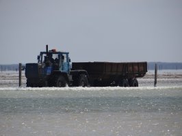 Вместо Баскунчака лучше озеро Эльтон посетить. На озере ведётся промышленная соледобыча, и этот факт довольно сильно впечатления портит.