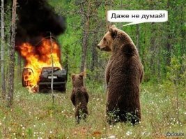 вот ещё одни :)