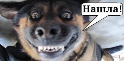 Неудачные, но весьма креативные попытки провезти контрабанду