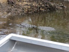 И вот, катался там на аэроглиссере