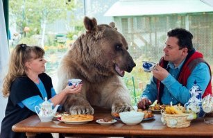 А вот не фига!)))