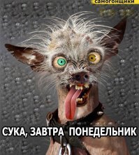 Эволюция недели
