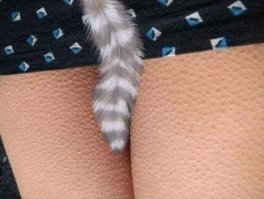 Картинки с надписями для настроения