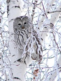 Фотоподборка за 05.02.2018