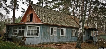 Красиво заросли, одним словом- юг. А у нас даже и не зарастает. П.Л. Им Калинина НСО.