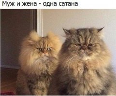 Картинки с надписями для настроения