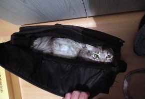А мы, вот сами находим себе места для хранения