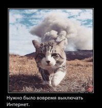 Китайская задача для пятиклассников взорвала весь интернет мира