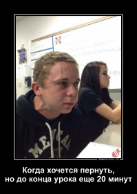 Свежая подборка демотиваторов, которые поднимут вам настроение