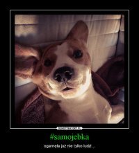 Свежая подборка демотиваторов, которые поднимут вам настроение