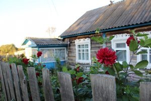 Моя деревня