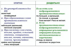 Хамелеон напал на человека и укусил его