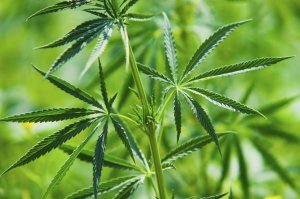 Картинки с надписями для настроения