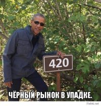 Юмор из интернета