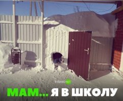 Игорёк, ты куда? Вахтовик пытается зайти в вагончик на крайнем севере