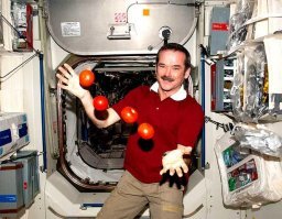 1.При взлёте перегрузка воздействующая на космонавтов 6-8g . Помидоры туда могут прилететь только всмятку .  
Кончики усов в ходе подстригания стреляют  так что ни один пылесос их не поймает. Стоит ли риск выведения корабля из строя этих усов?
3.Круглые люки не могут стыковаться квадратными. ГЕОМЕТРИЯ называется! 
4. Я был на боевом корабле, За каждым люком дежурный закреплен. Чтоб как титаник не утонуть. 
Данное фото ухаря с помидорами нам сообщает, что космическое действо происходит на земле. 
Ну и про оскорбления - Не перегибай и не перегибённой будешь!