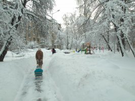 Деревья попадали на машины и провода. Зато повод покататься на санках. Москва, Тушино. Вчера и сегодня.