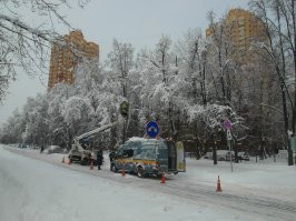 Деревья попадали на машины и провода. Зато повод покататься на санках. Москва, Тушино. Вчера и сегодня.