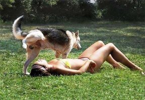 20 самых смешных фотографий животных 2017 года