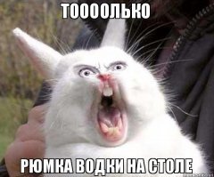 Смешные комментарии и высказывания из социальных сетей