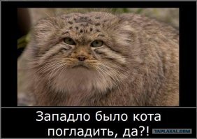 только обнять ?