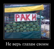У этих слоганов нет смысла, но зато много рифмы и секса