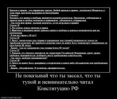 В хвост и в гриву: Тест на знание Конституции России