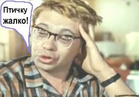 Мода, что ты делаешь? Ахаха, прекрати!