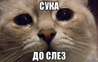 Два чеха завершили крутую кругосветку на 40-летней "копейке"