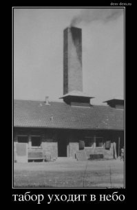 Суровые мужики vs цыгане