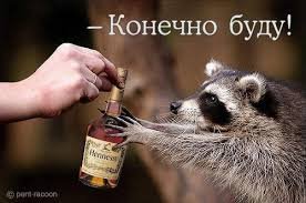 Почему пить лучше с утра
