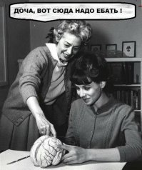 Кто ненавидит красивых людей