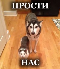 Забавные сходства и совпадения