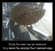 Люди, которым "немножко" не повезло