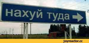 Снег не может идти вечно..., Апокалипсис