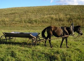 Вот так выглядит внедорожник всех времен и народов;)