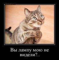 Прав оказался юродивый, да только сделать уже никто ничего не смог