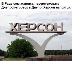 Собаки, козы и коты, спасшиеся при страшном пожаре, объединились в команду и стали выживать вместе!