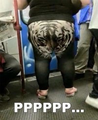 Немецкое ноу-хау: шорты от насильников бьют рекорды продаж в Германии