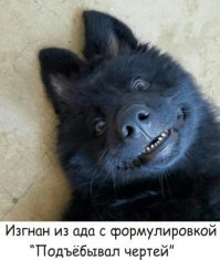 Картинки с надписями для настроения