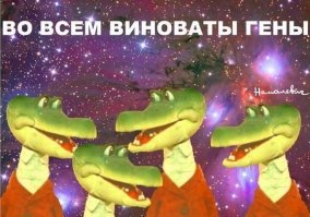 Парень просто сфотографировал ночное болото