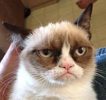 А никто не заметил, что в конце ролика у него будто человеческое лицо?