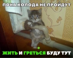 «Это хорошее место, я буду жить здесь»