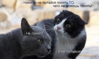 5 законов глупости