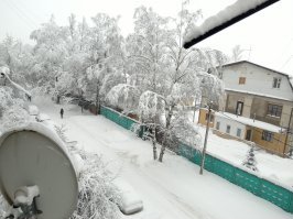 красота и только... ни кто не умер, все в пределах нормы, повалило около 2000 деревьев, из-за того что в первый день мело весь день при плюсовой температуре, снег залепил все, а на следующий день ударил мороз и тоже мело весь день, все это замерзло и закрепилось на ветках и проводах.