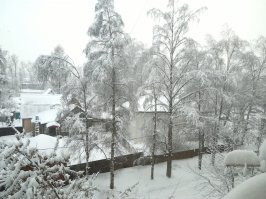 красота и только... ни кто не умер, все в пределах нормы, повалило около 2000 деревьев, из-за того что в первый день мело весь день при плюсовой температуре, снег залепил все, а на следующий день ударил мороз и тоже мело весь день, все это замерзло и закрепилось на ветках и проводах.