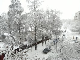 красота и только... ни кто не умер, все в пределах нормы, повалило около 2000 деревьев, из-за того что в первый день мело весь день при плюсовой температуре, снег залепил все, а на следующий день ударил мороз и тоже мело весь день, все это замерзло и закрепилось на ветках и проводах.