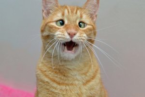 как жить теперь-то?..