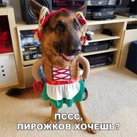 я же употребляю те же слова что и ты - значит и твой рот помойный, и ты тоже зеркальное быдло- так что успокойся...